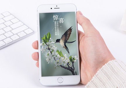 春天惊喜励志小鸟手机海报高清图片