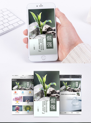 倔强枯木逢春励志手机海报配图模板