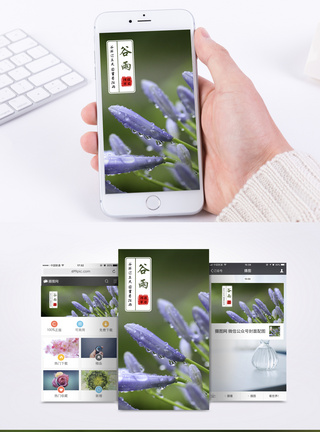 谷雨手机海报配图图片