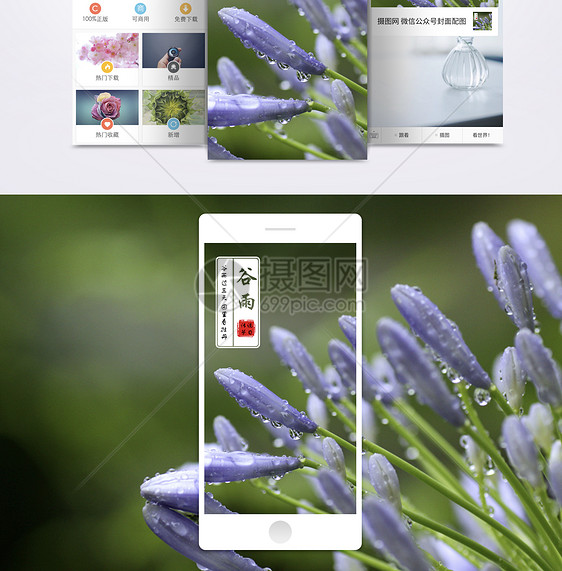 谷雨手机海报配图图片