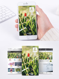 立夏手机海报配图图片