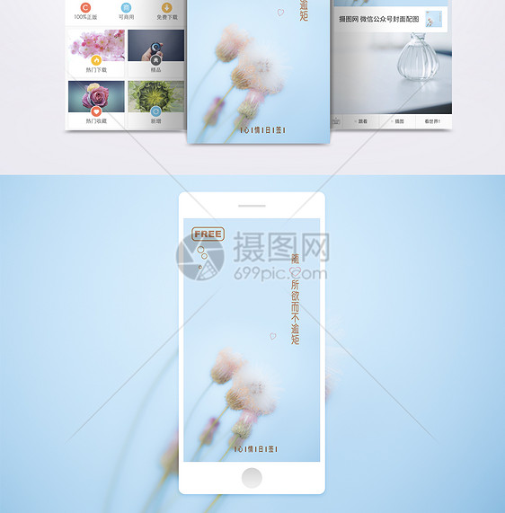 蒲公英心情日签手机海报配图图片