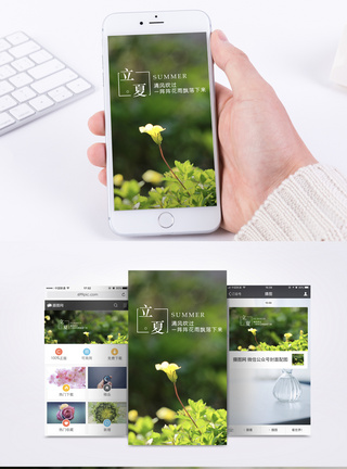 清新小花立夏简约手机海报配图模板