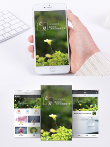 立夏简约手机海报配图图片