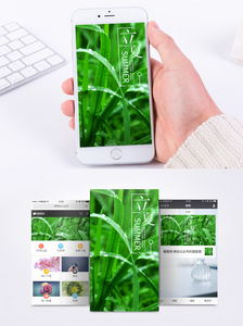 二十四节气立夏手机海报配图图片