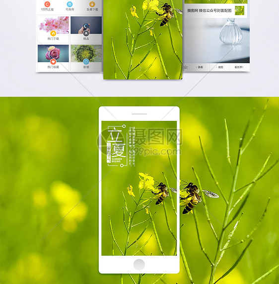 二十四节气立夏手机海报配图图片