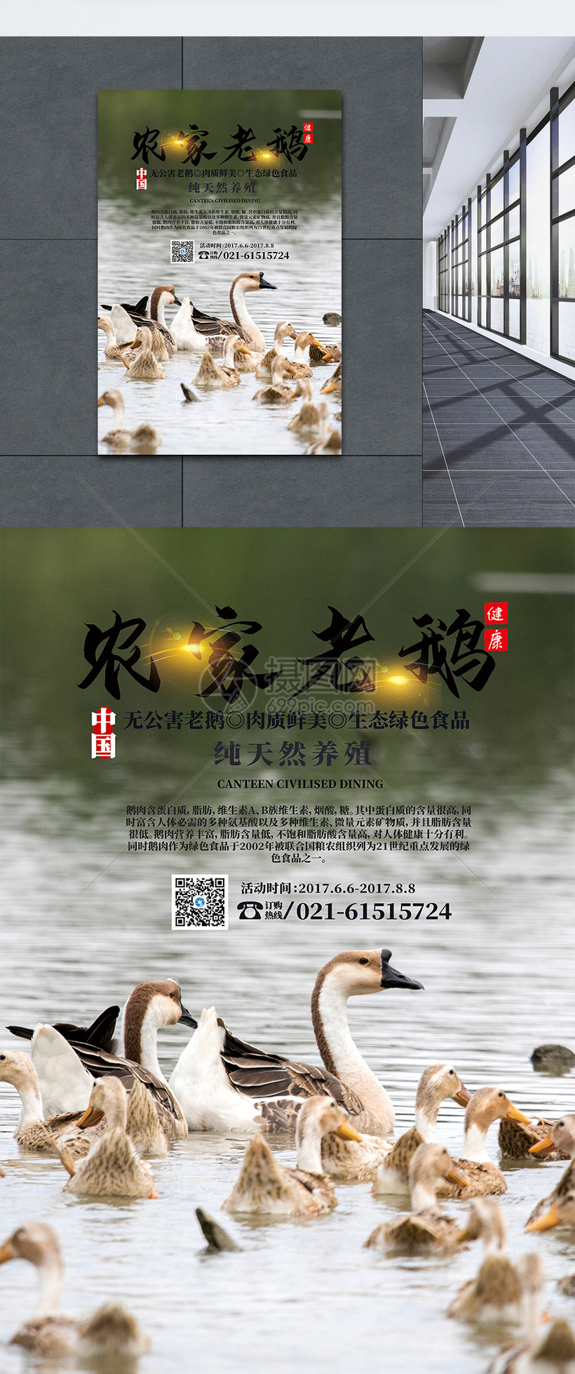 农家老鹅宣传海报