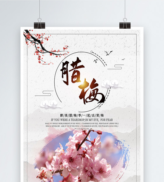 中国彩色水墨腊梅海报图片