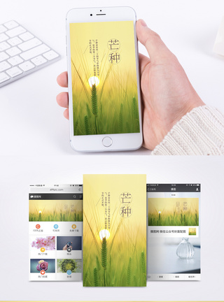 芒种微信芒种手机海报配图模板