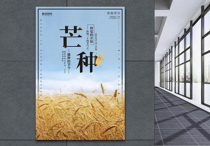 芒种海报种子水稻高清图片