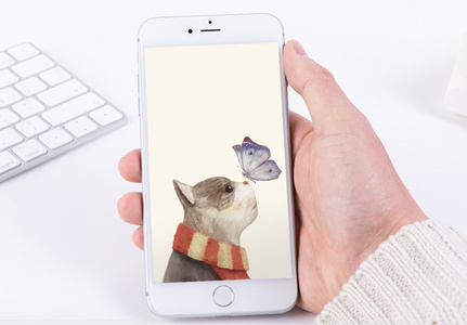 猫与蝴蝶手机壁纸高清图片