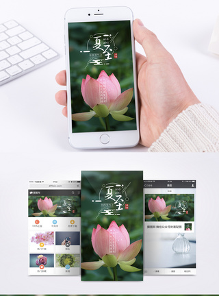 夏至节气手机海报配图图片