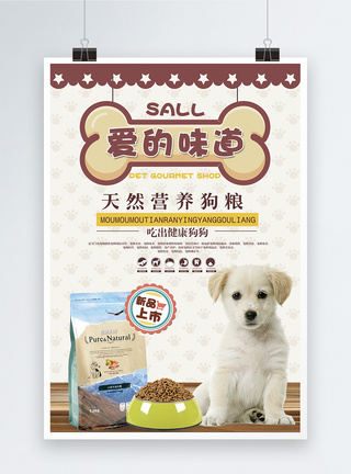 吃狗粮宠物零食特惠海报模板