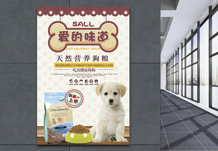宠物零食特惠海报图片