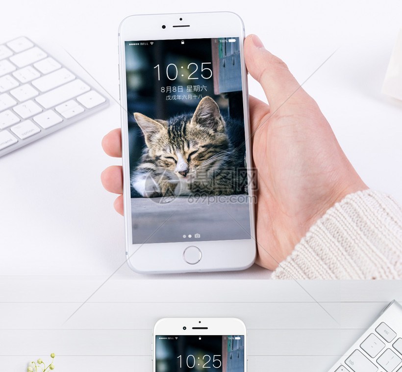 猫咪手机壁纸模板素材 正版图片 摄图网