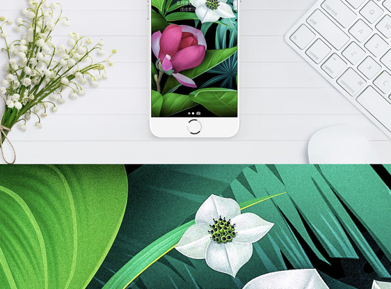 花卉植物手机壁纸图片