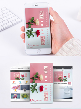 月季花恋爱花语手机海报配图模板