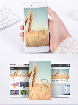 小暑手机海报配图图片