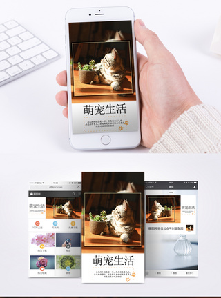 宠物阳光宠物生活手机海报配图模板