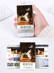 宠物生活手机海报配图图片