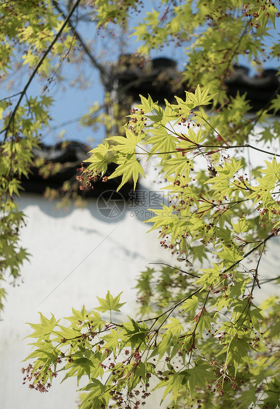 风景手机壁纸图片