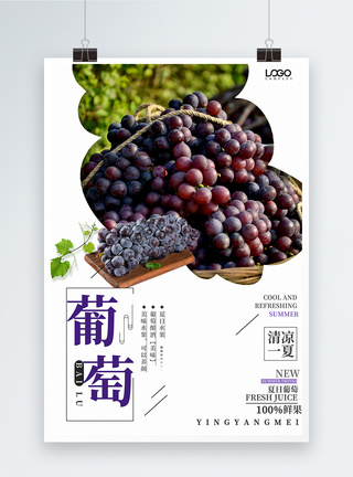波尔多葡萄园葡萄促销海报模板