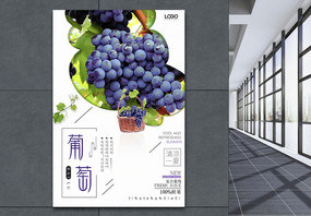 葡萄促销海报图片
