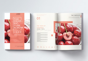 美食水果画册整套图片