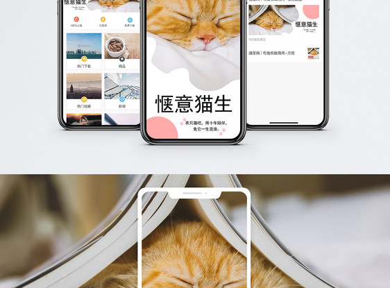 萌宠手机手机海报配图图片