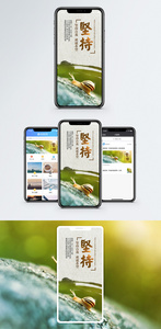 坚持手机海报配图图片