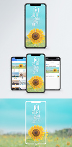 向阳手机海报配图图片