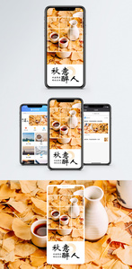 秋意手机海报配图图片