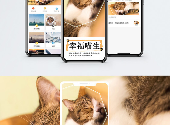 萌宠手机海报配图图片