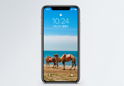 骆驼手机壁纸图片