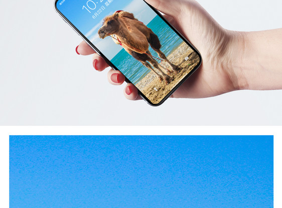 骆驼手机壁纸图片