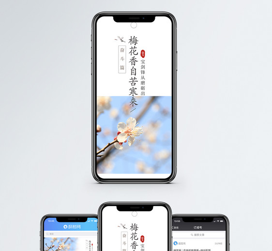 梅花精神手机海报配图图片