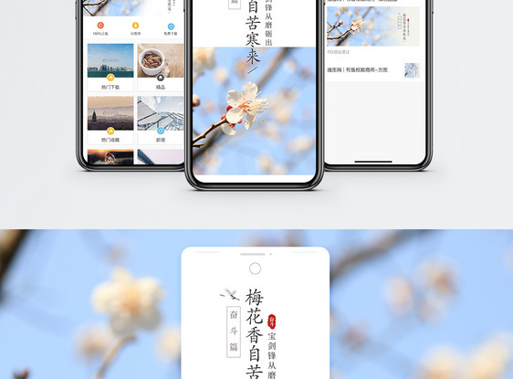 梅花精神手机海报配图图片