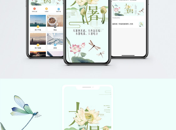 大暑节气手机海报配图图片