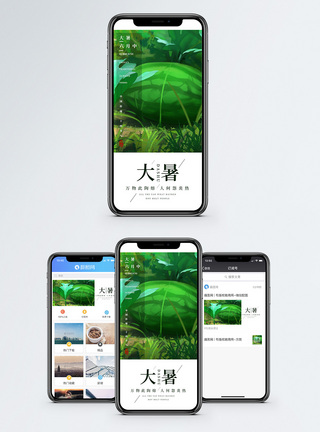 大暑节气手机海报配图图片