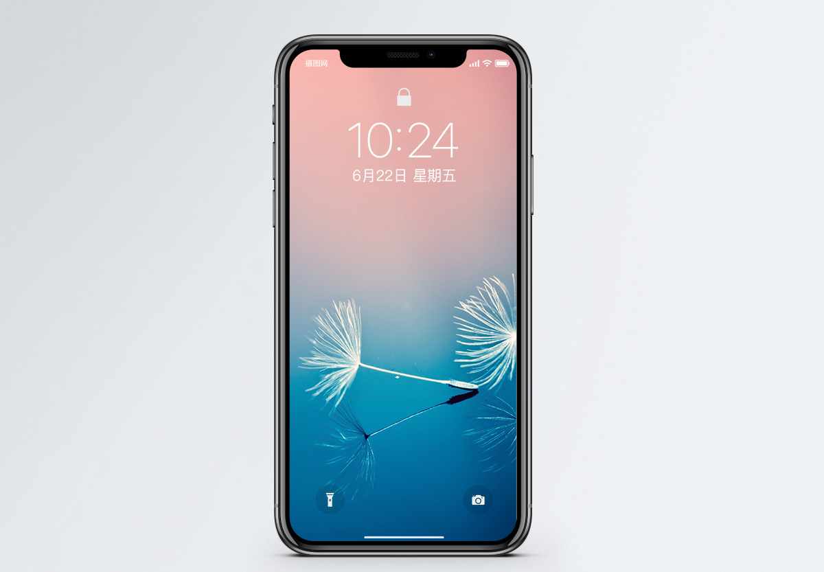 花手机壁纸图片 花手机壁纸素材 花手机壁纸高清图片 摄图网图片下载