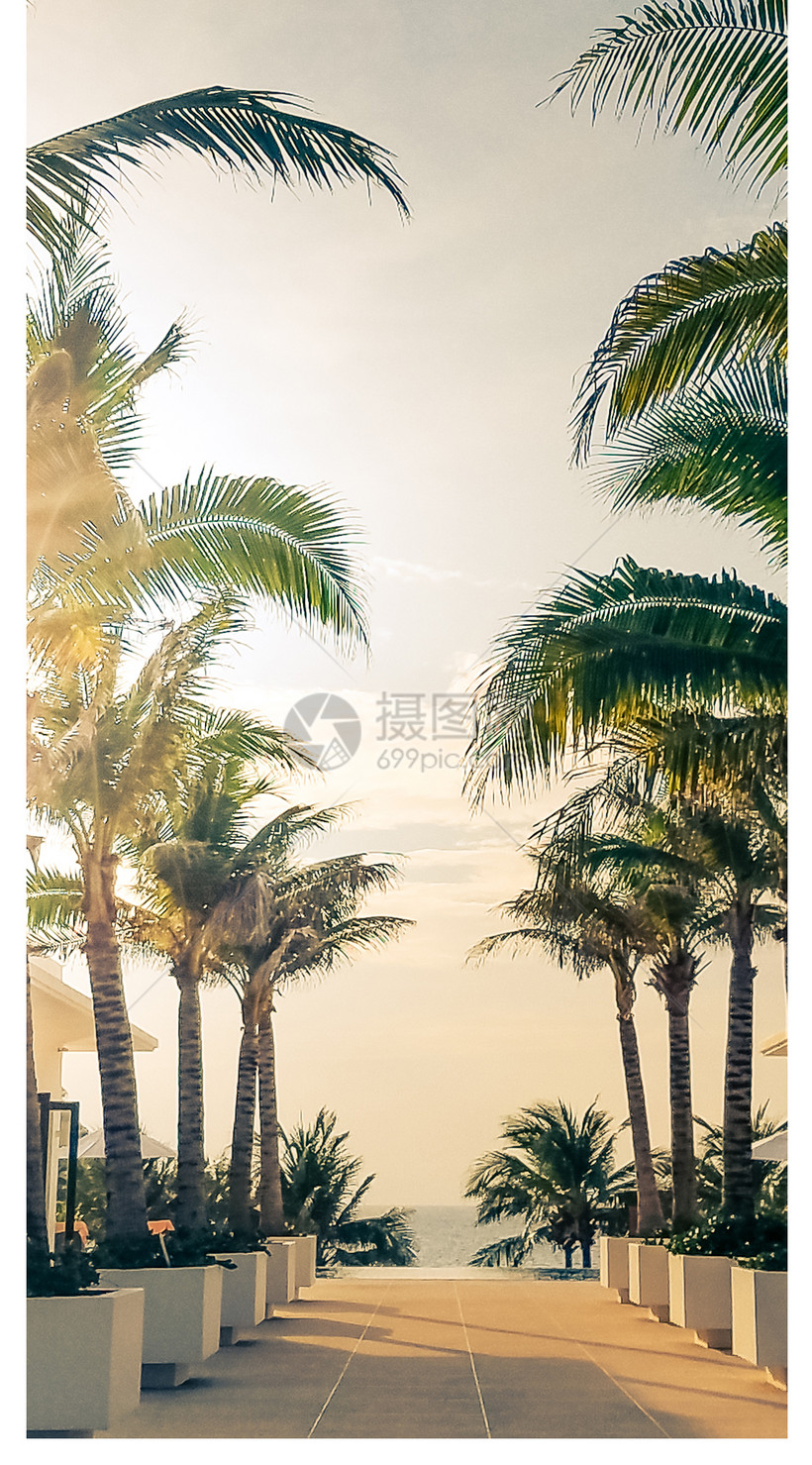 热带风景手机壁纸模板素材 正版图片 摄图网