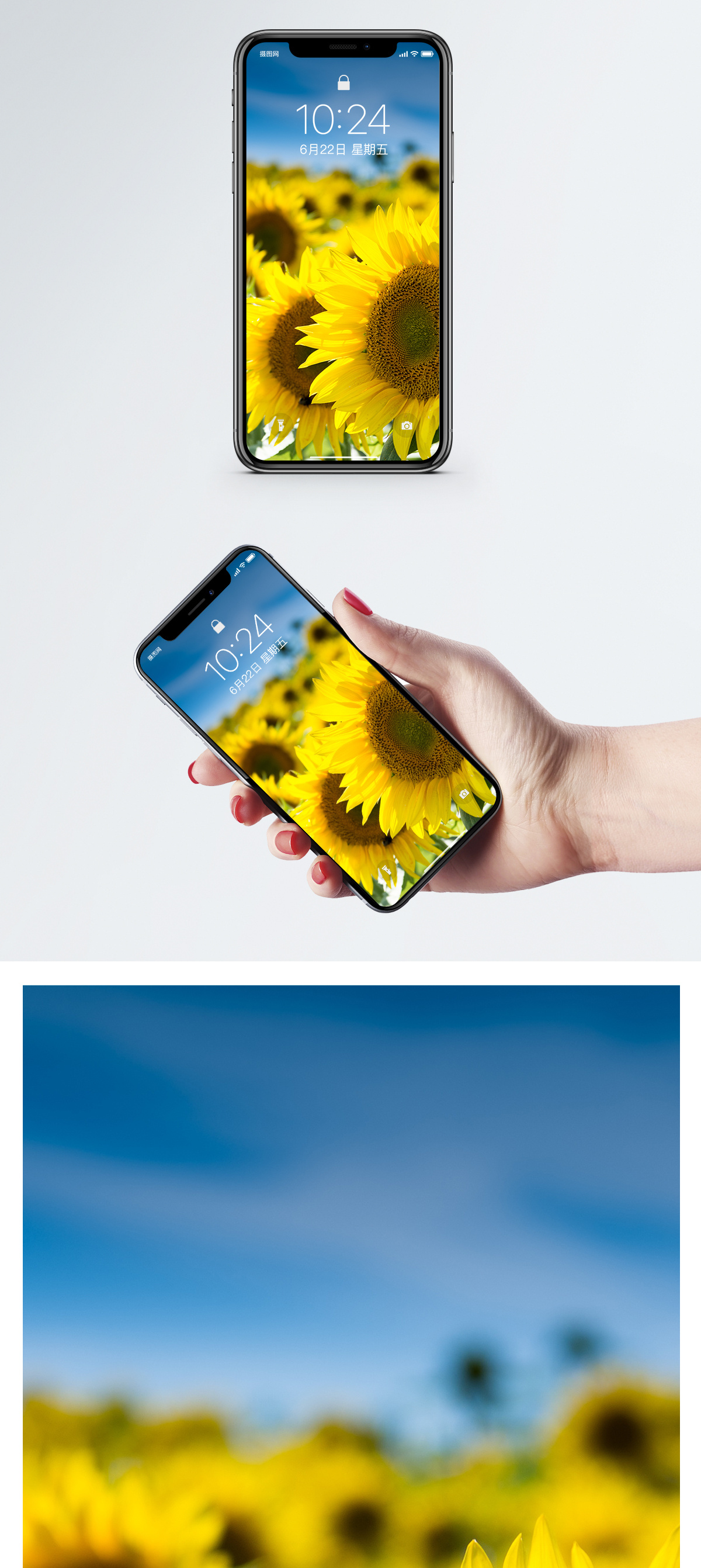 花卉手机壁纸图片 花卉手机壁纸素材 花卉手机壁纸高清图片 摄图网图片下载 花卉手机壁纸图片 花卉手机壁纸素材 花卉手机壁纸高清图片 摄图网图片下载