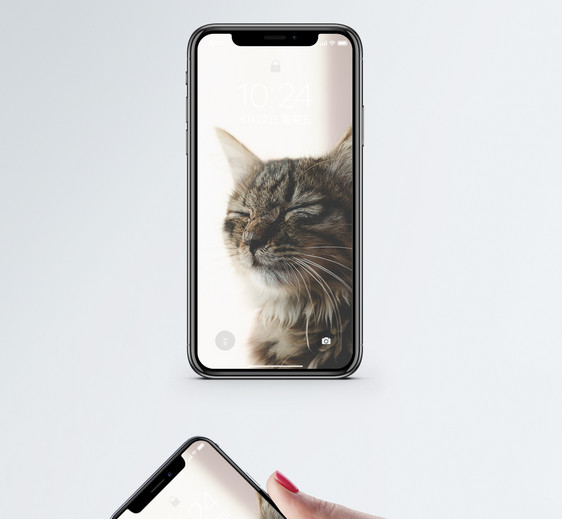 动物手机壁纸图片