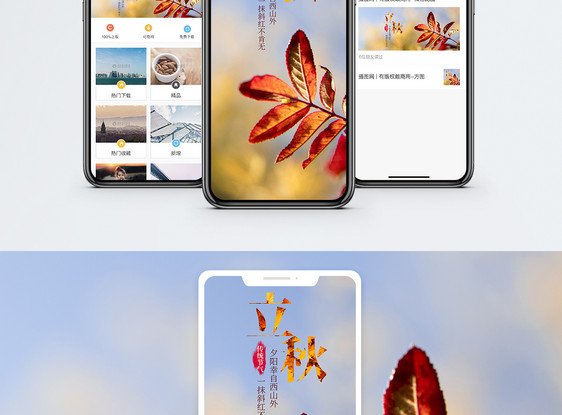 立秋手机海报配图图片