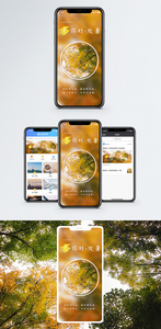 处暑手机海报配图图片