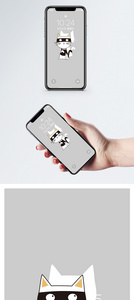 戴眼罩的猫手机壁纸图片