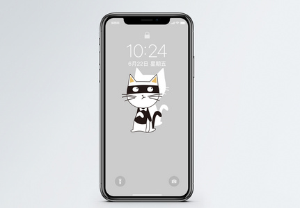 戴眼罩的猫手机壁纸图片