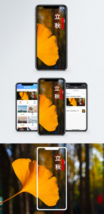 立秋手机海报配图图片