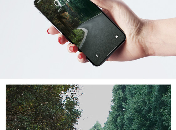 森林公路手机壁纸图片