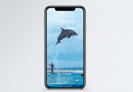 海豚表演手机壁纸图片